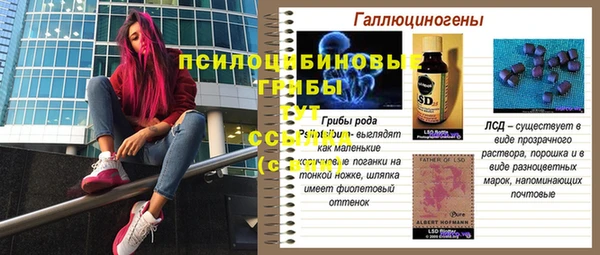 соль ск Алексин