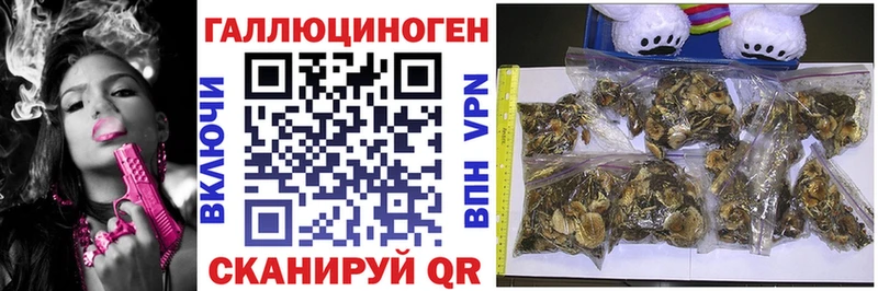 Галлюциногенные грибы GOLDEN TEACHER  Вилючинск 